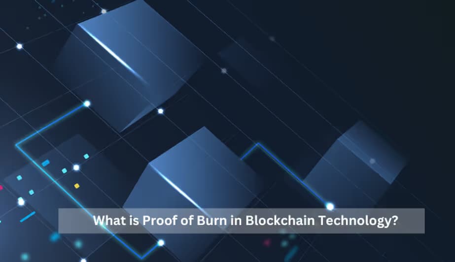 Exploring Proof of Burn in Blockchain Technology