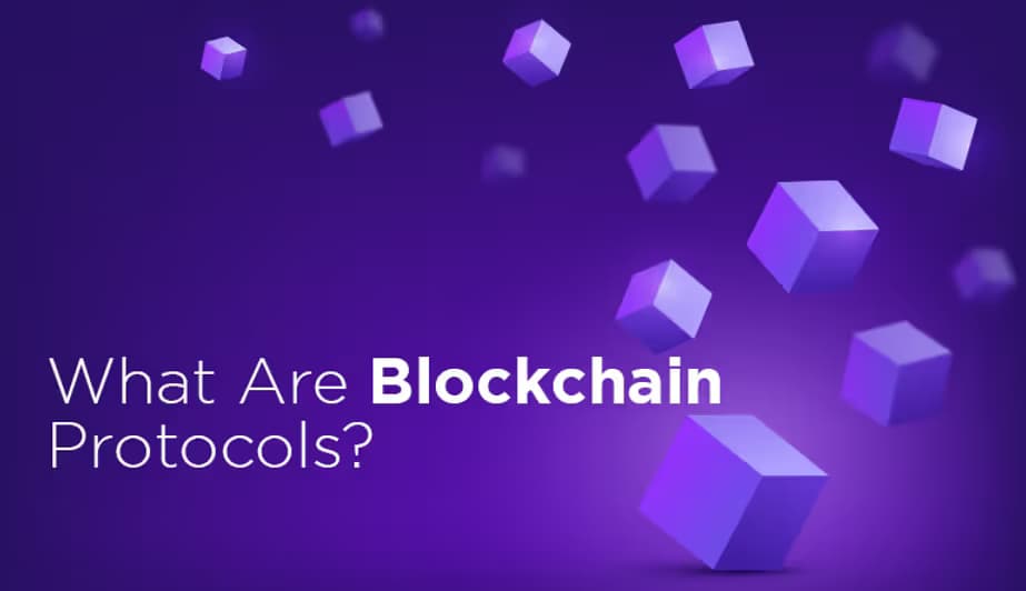 What Are Blockchain Protocols?
